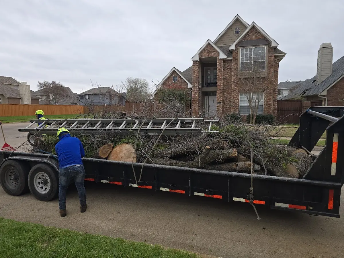 Expert Tree Fertilization with proper safety equipment in Comins